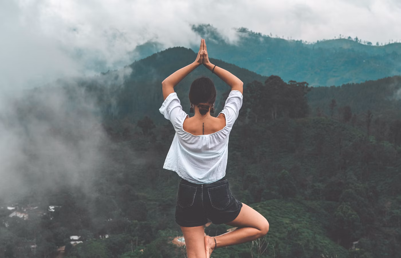 Фокус для творческого профессионала
